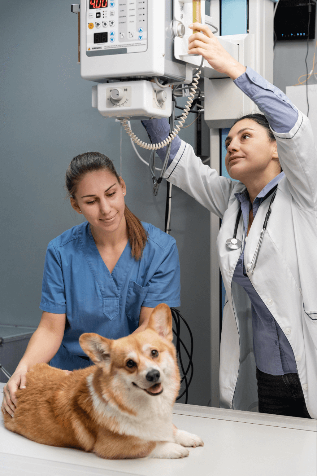 Az ellátás folyamata